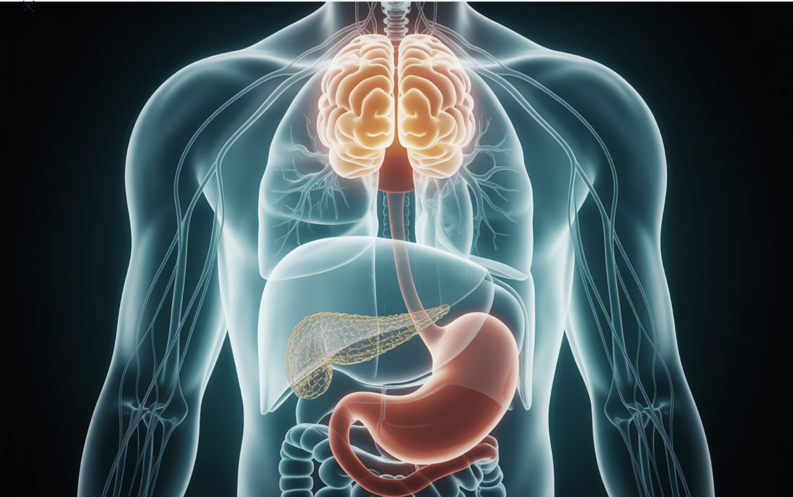How GLP-1 Medications Support Safe, Effective Weight Loss
